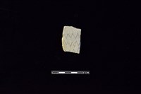 藏品(陶片)的圖片
